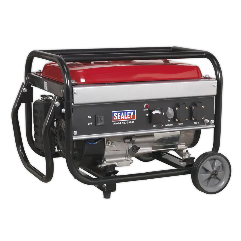 3100W Single-Phase Generator – 230V Output, 7Hp Gas Engine 1