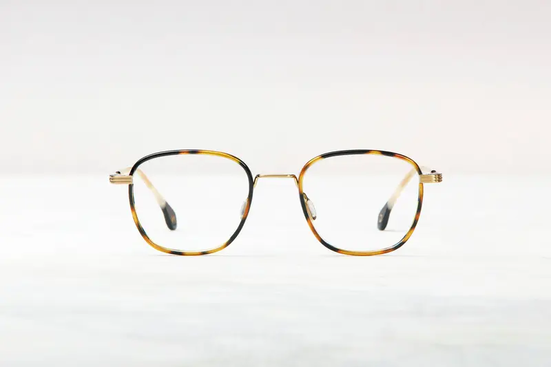 Bayonne Havana Brushed Gold Sunglass Frames 1