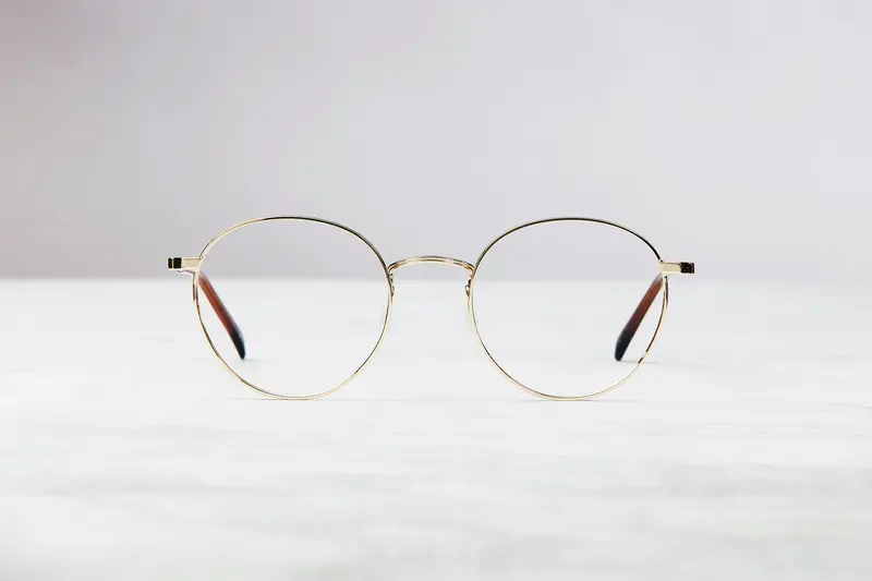 Brussels Sunglasses With Classic Gold Tone 1