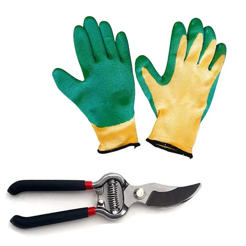 Professional Gardening Gloves & Bypass Pruners – Durable Outdoor Care Duo 1