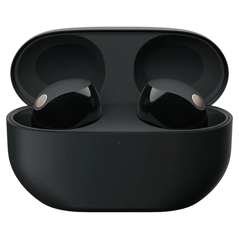Sony Wf-1000Xm5 True Wireless Noise-Cancelling Earbuds – Black 1