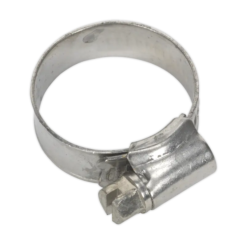 Stainless Steel Hose Clamp Pack (10 Pcs, 16–27 Mm) 1