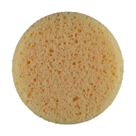 Textured Tire Dressing Application Sponge 1