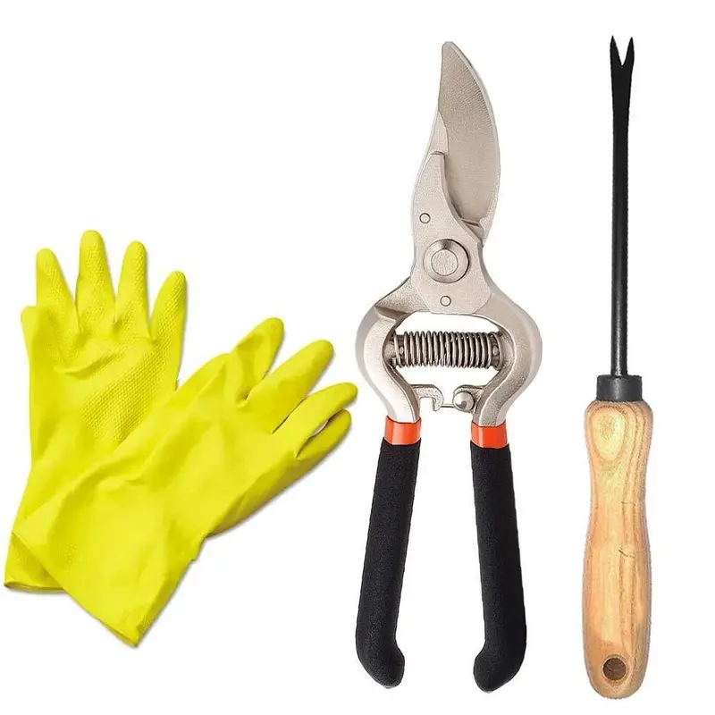 Your Brand Compact Garden Duo: 8-Inch Pruning Shears & Straight Hand Weeder With Rubber Gloves 1