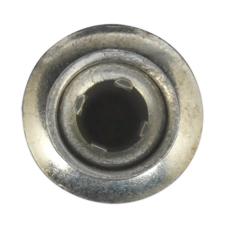 Zinc-Plated Structural Steel Rivet – 6.3 X 23 Mm (Pack Of 100) 1
